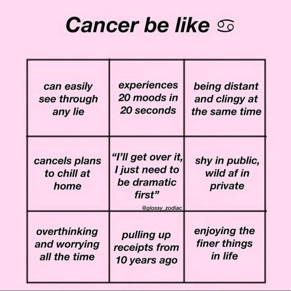 Meet your Posher, Athena - Picture 4 of 4